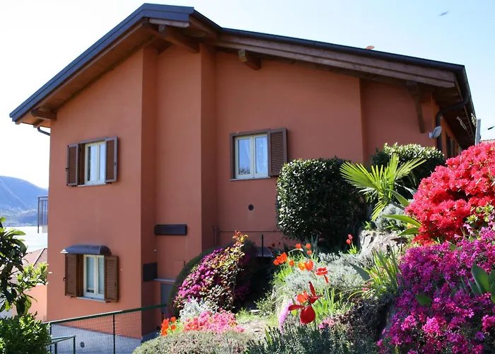 Nina & Berto ヴェルバーニア